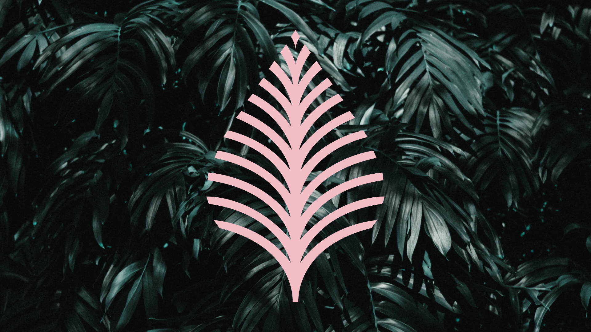 Paradiso Palm Logo Mark